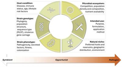 A paradigm for the contextual safety assessment of agricultural microbes: a closer look at Klebsiella variicola
